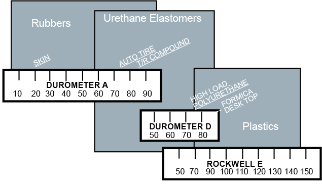 scale_whl